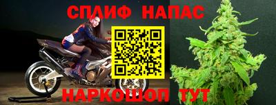 стафф Краснокаменск
